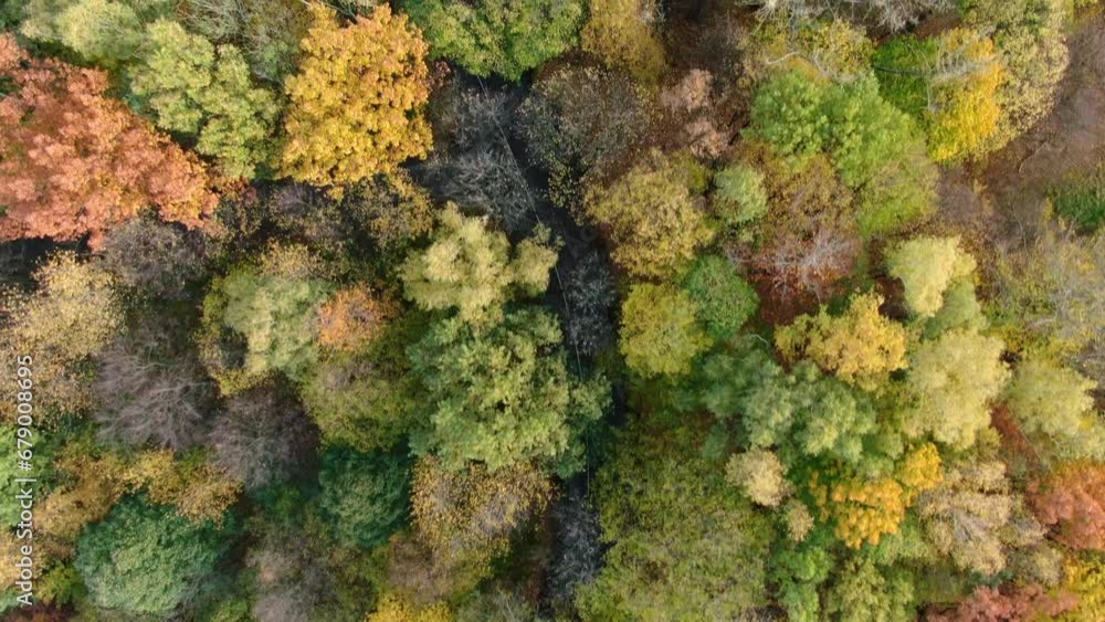 Slow aerial top down view of park with colorful trees moving along curvy road with white stripe. Slow aerial top down view of park with colorful trees moving along curvy road with white stripe.
