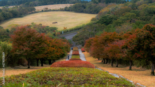 Kirishima Autumn