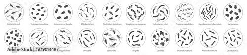 Set of bacteria in a magnifying glass. Vector illustration in doodle style