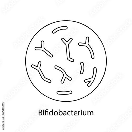 Pathogenic bacteria. Bacterial microorganism. Microbiology, infographics. hand drawn doodle style.
