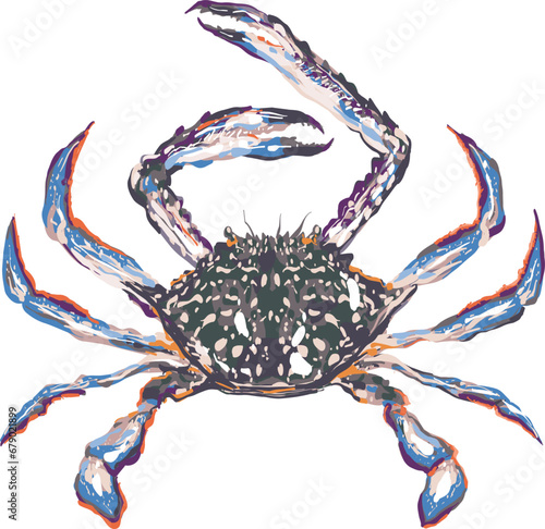 Horse crab blue crab seafood fresh from ocean