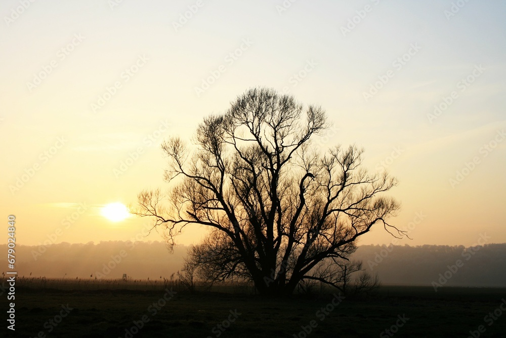 Sonnenuntergang im Winter