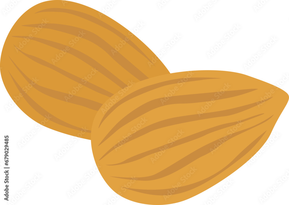 Obraz premium Almond illustration