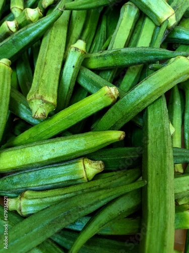 Okra, Abelmoschus esculentus, known in some English-speaking countries as lady's fingers, is a flowering plant in the mallow family native to East Africa. photo