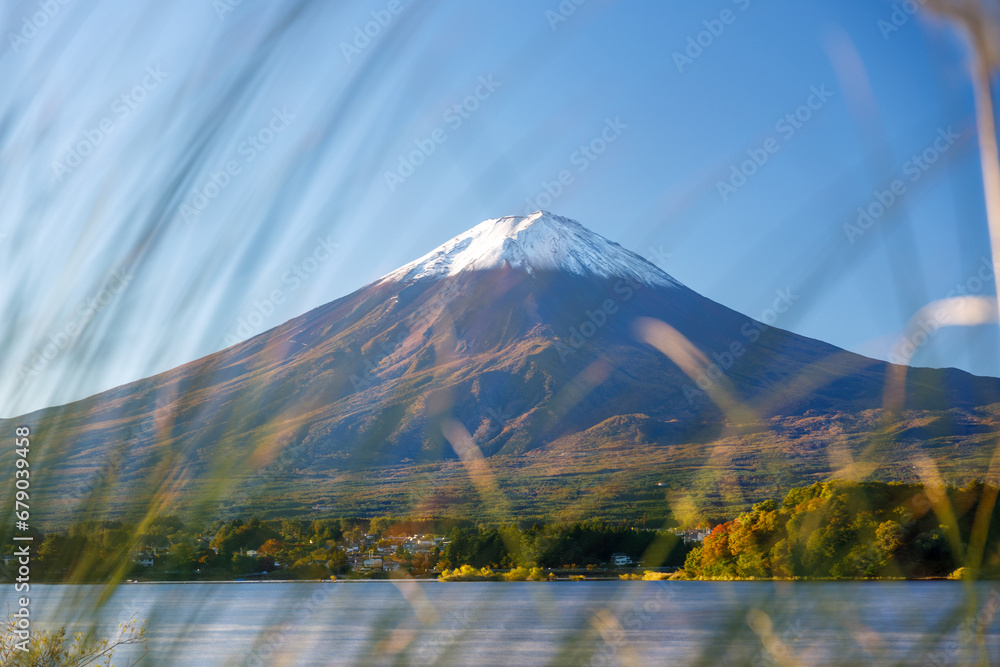 Fototapeta premium 河口湖の大石公園のお花畑から見た富士山