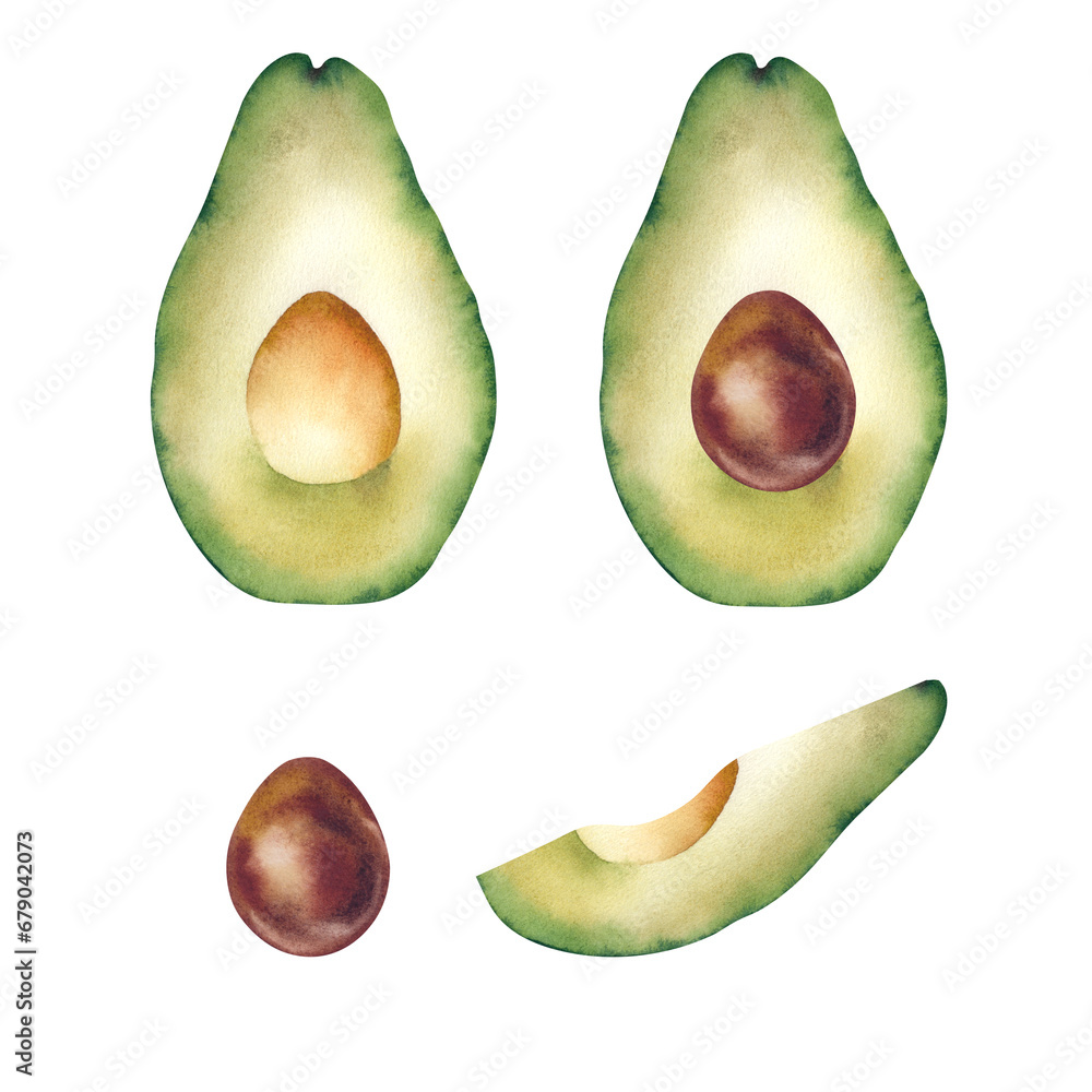 Avocado. The fruit is juicy and ripe. Watercolor illustration on a white background. Healthy eating, vegan. Logo, template, print.