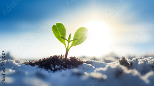 Young green sprout emerging from snowy frozen ground announcing end of winter end beginning of spring season photo