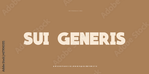 Elegant Font Uppercase Lowercase and Number. Classic Lettering Minimal Fashion Designs. Typography modern Sen Serif fonts regular decorative vintage concept. vector illustration