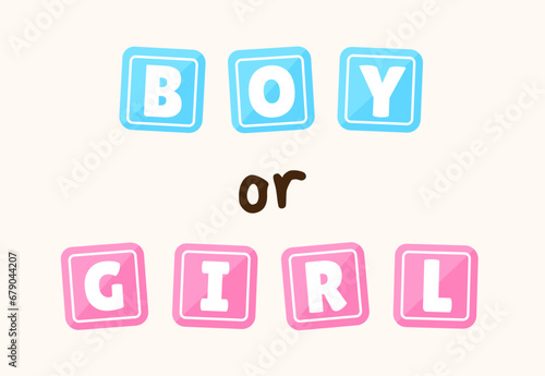 Free Download Boy or girl lettering with alphabet children's cubes for gender party.Baby shower. Expecting a baby. Pregnancy..Vector illustration - GFXLoad