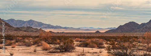 Fototapeta Naklejka Na Ścianę i Meble -  Mojave Desert Panorama