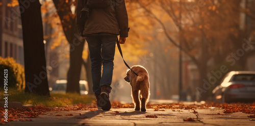a person walking with a dog, in the style of warm tones