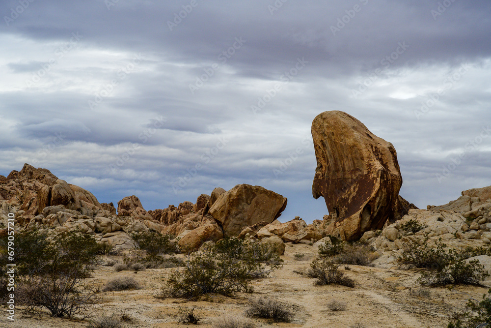 Whale Rock, Mojave Desert