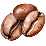 watercolor coffee beans , coffee beans clipart for graphic resources