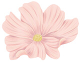 Cosmos flower clipart color pencil style