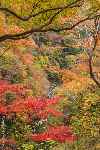 カラフルな紅葉・金蔵落としの渓流