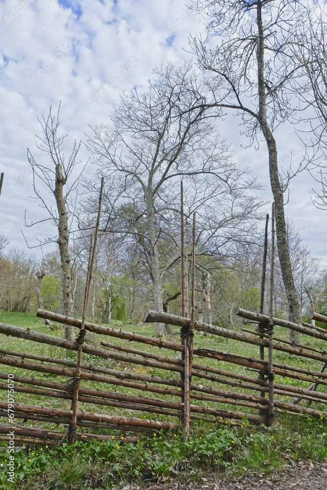 Old wooden roundpole fence in a country landscape in spring.