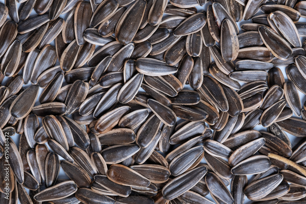 Sunflower seed roasted isolated on white background. Top view Sunflower seed roasted isolated on white background. Top view
