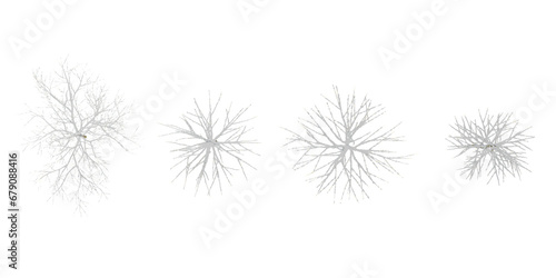 Christmas Trees Covered in Snows collection of top view isolated on transparent background