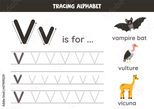 Tracing all letters of English alphabet. Preschool activity for kids. Writing uppercase and lowercase letter v. Printable worksheet. Cute illustration of vampire bat, vulture, vicuna.