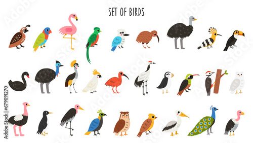 Bundle of cute cartoon birds. Asian, african, australian, woodland birds.