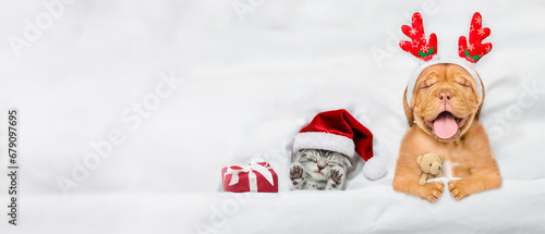 Happy mastiff puppy dressed like santa claus reindeer Rudolf hugs toy bear and sleeps with cozy kitten under white blanket at home. Top down view. Empty space for text