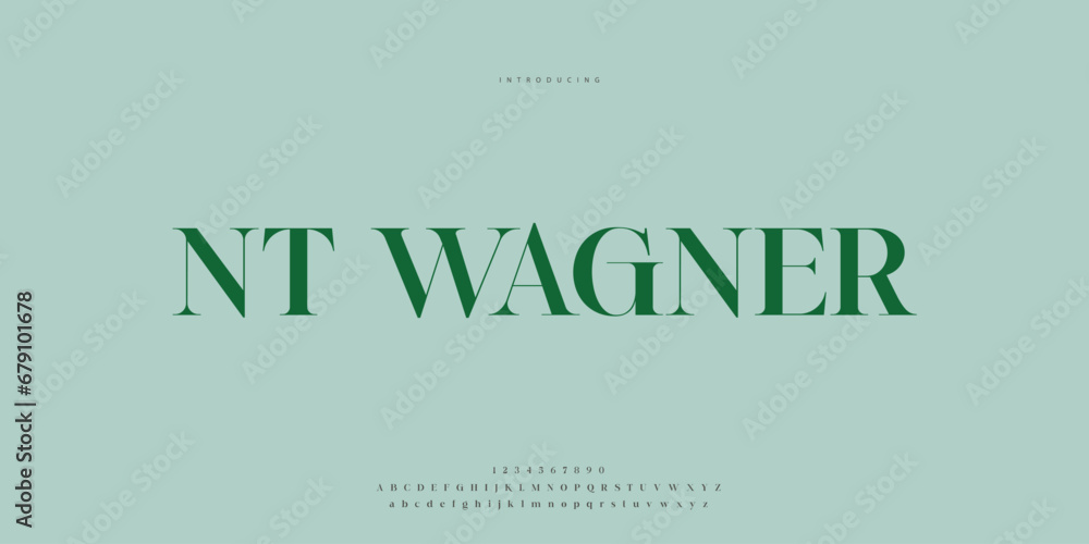 Elegant Font Uppercase Lowercase and Number. Classic Lettering Minimal Fashion Designs. Typography modern Serif fonts regular decorative vintage concept. vector illustration Elegant Font Uppercase Lowercase and Number. Classic Lettering Minimal Fashion Designs. Typography modern Serif fonts regular decorative vintage concept. vector illustration