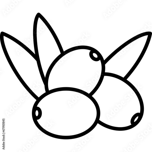 Olive Icon