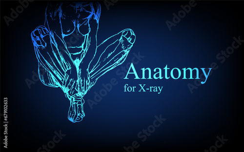 Human anatomy in front on x ray view. Anatomy human body connection, Medical, educational or science banner on futuristic blue background, Vector hand drawn illustration