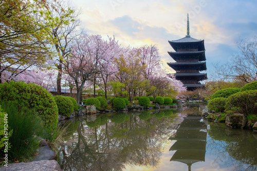 Toji Temple in Kyoto, Japan with beautiful full bloom cherry blossom during springtime
