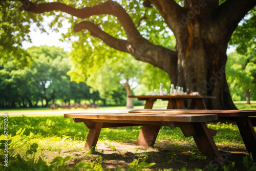 Wooden table for family picnic under big tree in green public park.