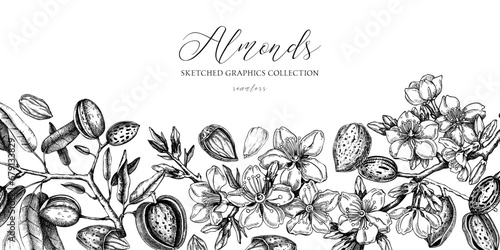Almond background. Blooming branches, almond nuts, flowers, leaves sketches. Hand drawn vector illustration. Vintage floral design. Spring trees border