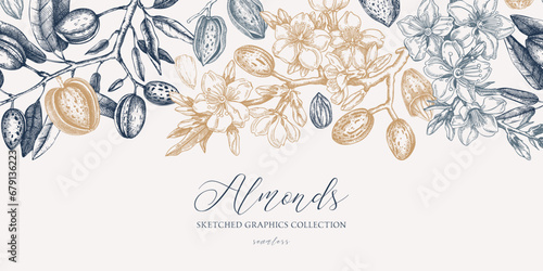 Almond background. Blooming branches, almond nuts, flowers, leaves sketches. Hand drawn vector illustration. Vintage seamless pattern. Spring trees border