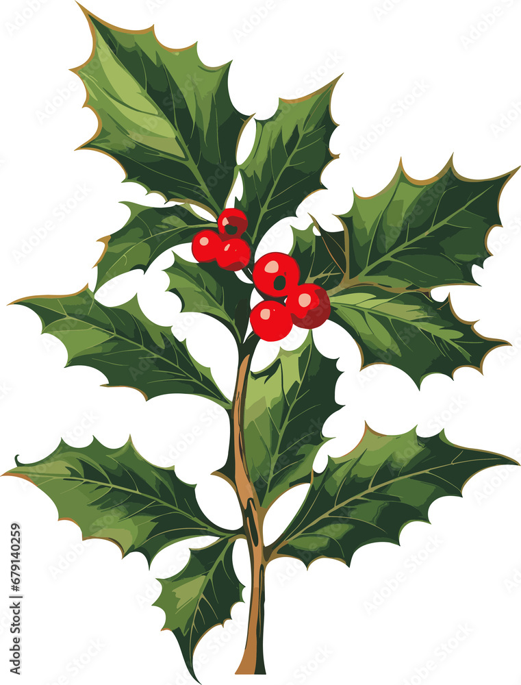 Christmas holly leaf