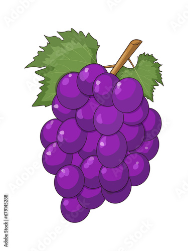 Vector illustration of a bunch of red grapes. Cartoon style on white isolated background.