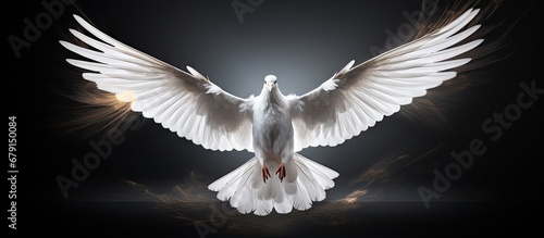 Human rights symbol in the form of a dove Copy space image Place for adding text or design © Ilgun