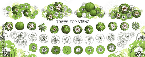 WebTree for architectural floor plans. Entourage design. Various trees, bushes, and shrubs, top view for the landscape design plan. Vector illustration.