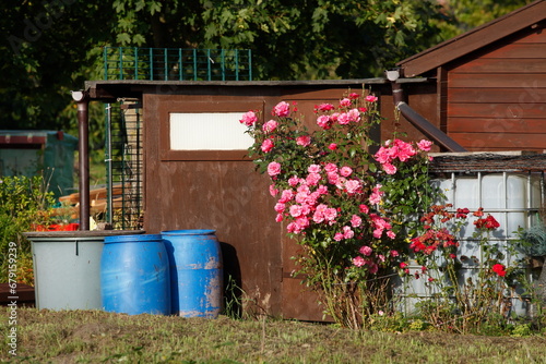 Gartenlaube, Elsfleth, Landkreis Wesermarsch, Wesermarsch, Niedersachsen, Deutschland © detailfoto