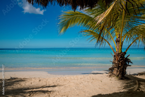 On the beach in a tropical paradise, clear sea, sand and palm trees.