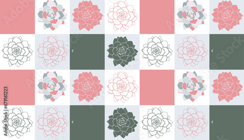 seamless vector pattern with echeveria flowers in pop art pastel style. botanical succulent pattern with squares. natural eco pattern