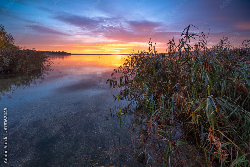 Clear Calm Lake with Reeds at Sunrise