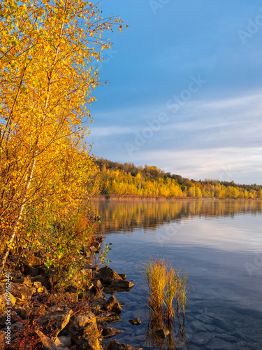 Birch trees by calm lake in full autumn colour at sunrise