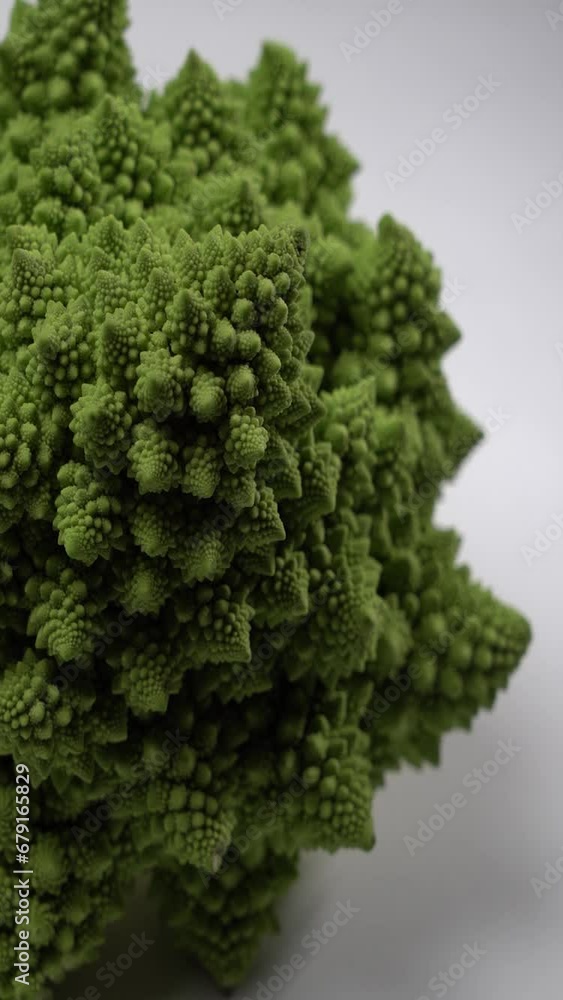 video verticale, broccolo romano in primo piano che gira video verticale, broccolo romano in primo piano che gira