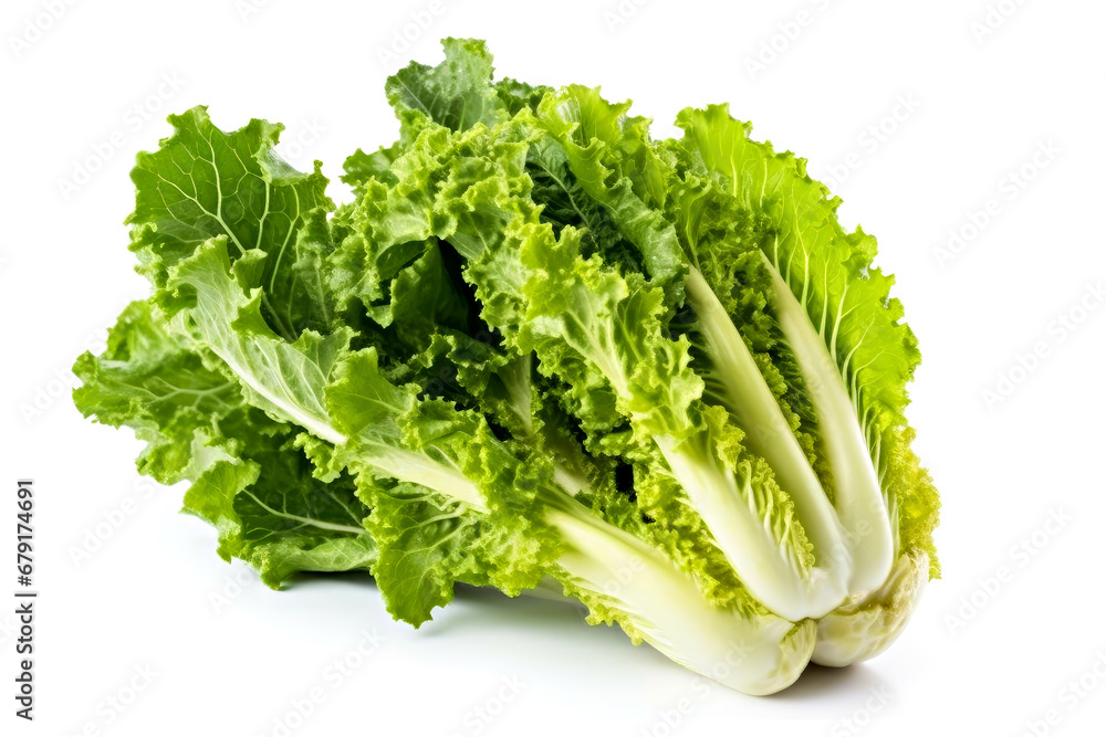 Fresh green lettuce isolated on a white background. Healthy food concept. Fresh green lettuce isolated on a white background. Healthy food concept.