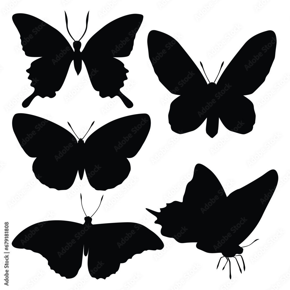 monochrome Butterfly Silhouettes Vector monochrome Butterfly Silhouettes Vector