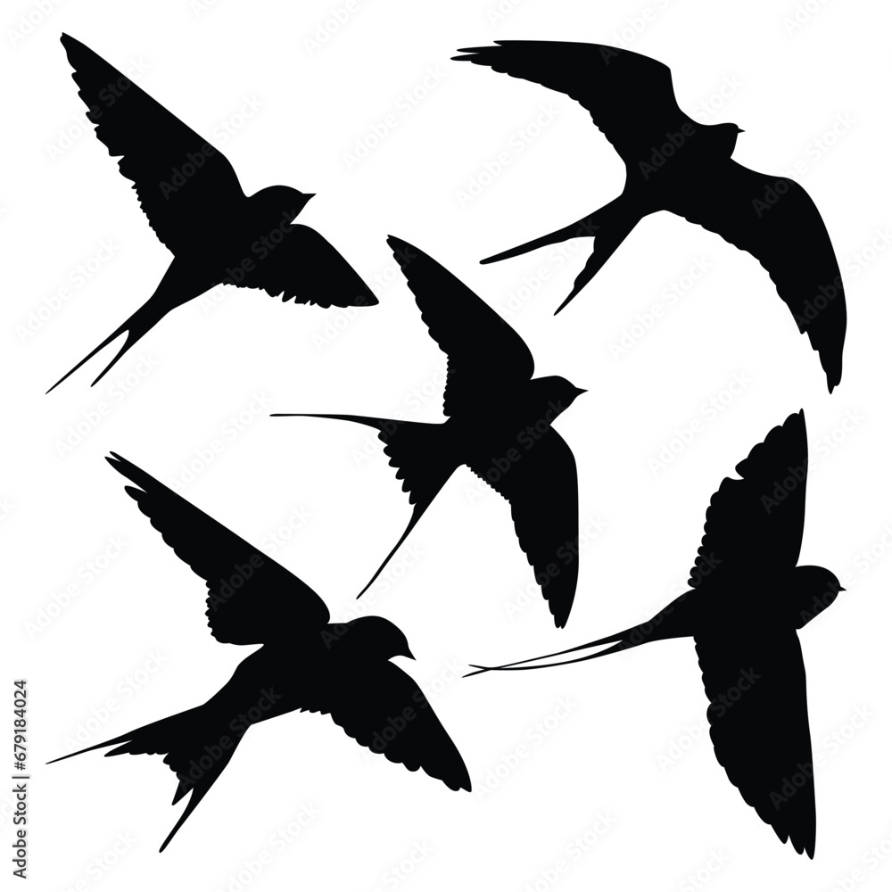 Obraz premium Bird Swallow Silhouettes Vector illustration