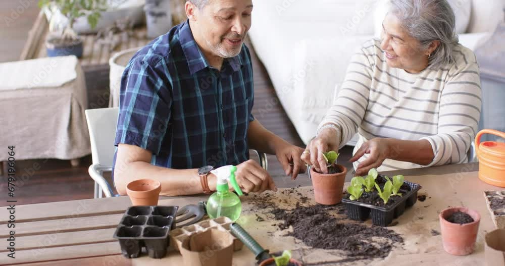 Happy diverse senior couple sitting at table and planting plants to pots on porch Happy diverse senior couple sitting at table and planting plants to pots on porch