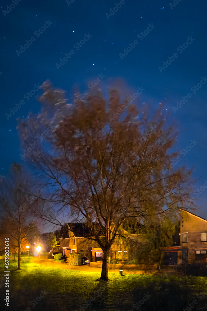 Night image with autumnal foliage on trees and illuminated houses
