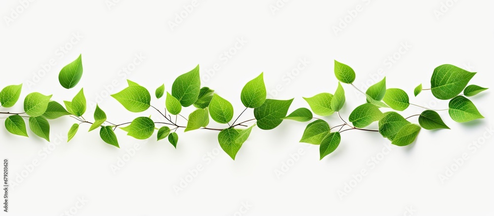 Flying Realistic Green Leaves Wave Center isolated on white background