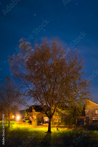 Night image with autumnal foliage on trees and illuminated houses