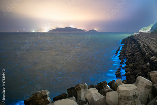 Blue tears Noctiluca scintillans. Photographed in Matsu, Taiwan